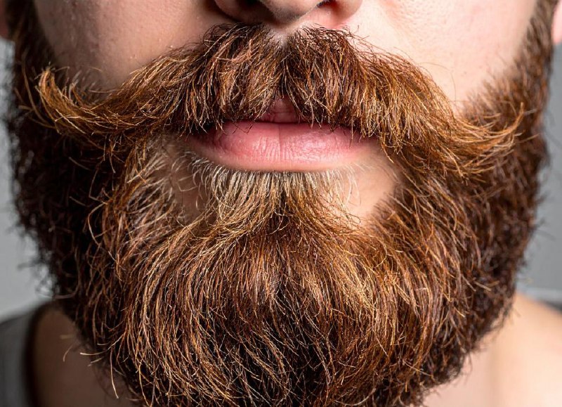 Jonas Weber Portfolio 6